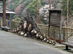 -岚山嵯峨野观光小火车