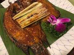 -紫滇源云南生态菜(丹凤街店)