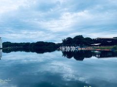 -济州森林小火车生态公园