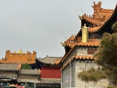 -大召无量寺