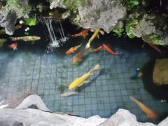 -华园农庄·特色炭烧鸡·北江河鲜