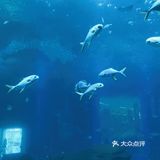 卧x好多水母啊！