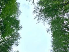 -杭州植物园