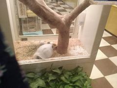 -龙猫仔乐园(惠福东路店)