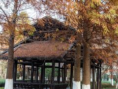 -长广溪湿地公园