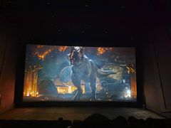 -山文星辉影城(济南和谐广场店)