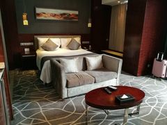 -常州环球恐龙城维景国际大酒店