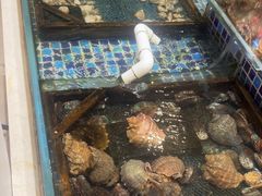 -天盛海鲜烧烤大排档·本地小海鲜·牟平腿穗子(幸福店)