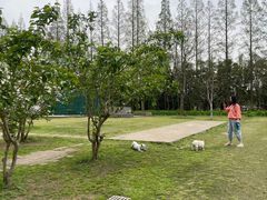 -前小桔亲子创意农场·草莓采摘·露营烧烤