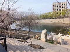 -桃花堤公园