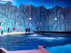 -珠海横琴长隆《卡卡虎奇遇记》