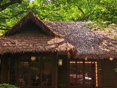 -中国茶叶博物馆(双峰馆区)