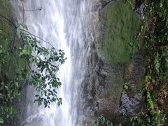 android_upload_pic-九溪烟树