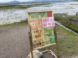 -纳帕海依拉草原