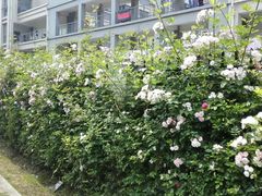 -江南大学(蠡湖校区)
