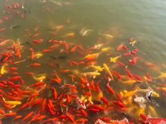 -狼山风景名胜区