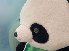 -眉州东坡·熊猫主题餐厅(枫蓝店)