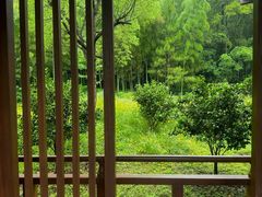 -兰亭风景区