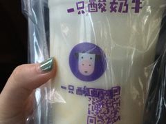 -一只酸奶牛(摩根吾悦广场店)