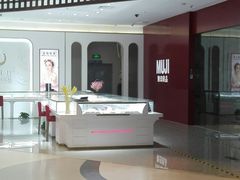 -天虹购物中心(石路店)