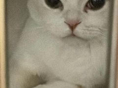 -仁华宠物医院(青羊店)