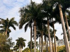 -南宁南湖公园