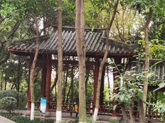 -龙头寺公园