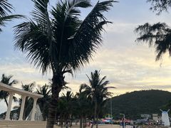 -玫瑰海岸文化旅游度假区