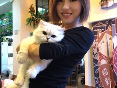 -李小姐の猫咖啡馆(五角场店)