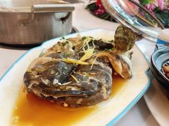 -翡翠老鸭店