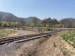 -径山花海