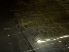 -上足·影院足道·SPA(红岭店)