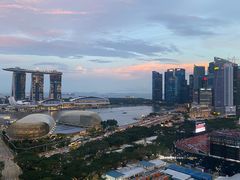 -新加坡瑞士史丹福酒店