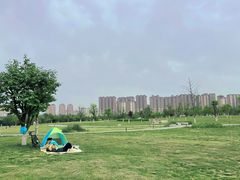 -汉长安城未央宫国家考古遗址公园