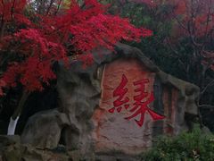 -杭州黄龙洞