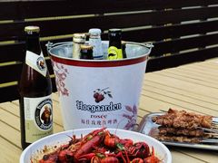 -京B·东篱精酿啤酒音乐餐厅