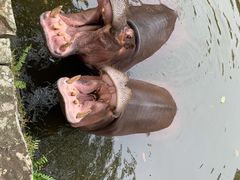 -海南热带野生动植物园