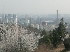 -白水寺森林公园