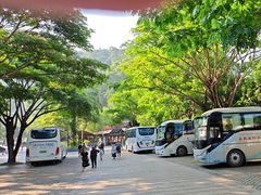-野象谷景区