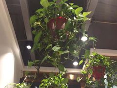 -权味·朝鲜族拌饭(勒泰店)