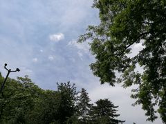 -延安杨家岭革命旧址