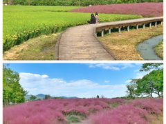 -良渚古城遗址公园