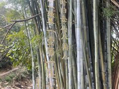 -世间香境·七溪地