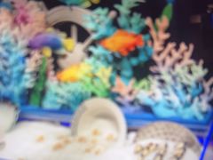 -萧邦音乐会所KTV·蒸汽活海鲜自助(福田店)