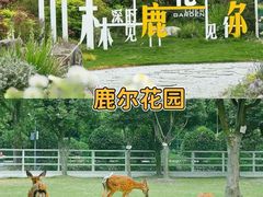 -老鼎万春卤菜(五代传承创始老店)