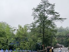 -莫干山风景区