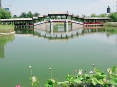 -西海子公园