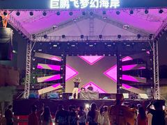 -巨鹏飞梦幻海岸