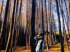 -山王坪喀斯特国家生态公园