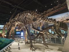 -国家自然博物馆